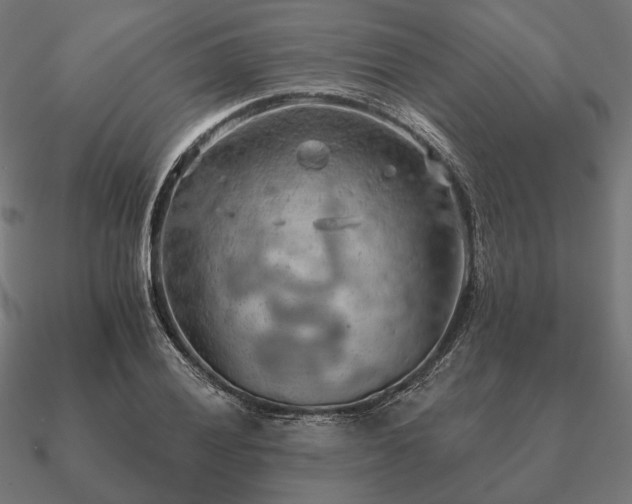 X0000090911028200708061518