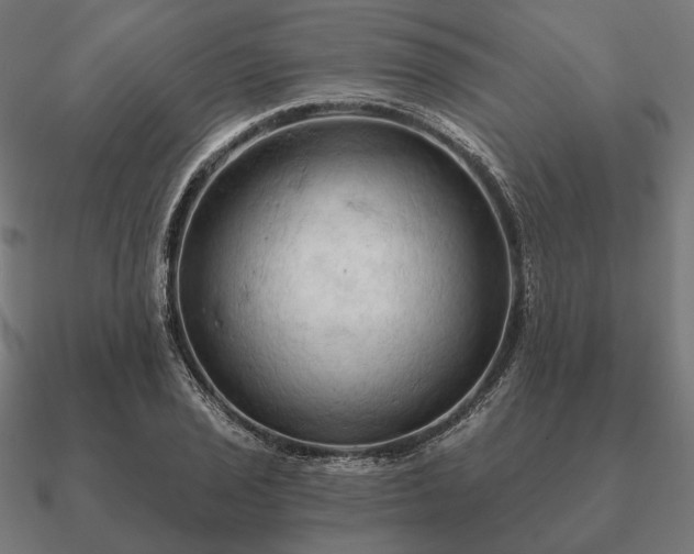 X0000090911029200708061518