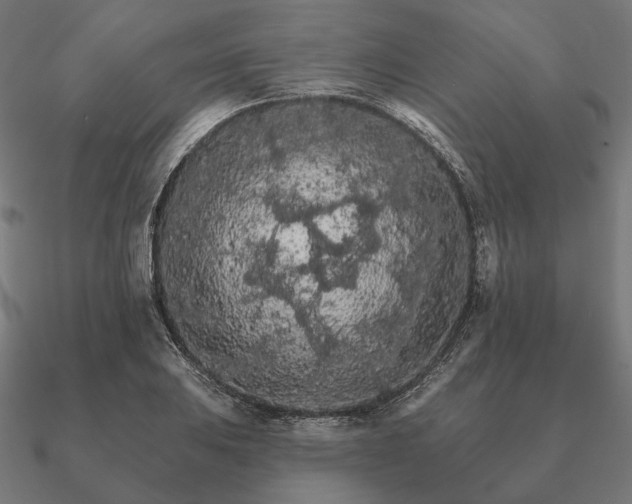 X0000090911031200708061518