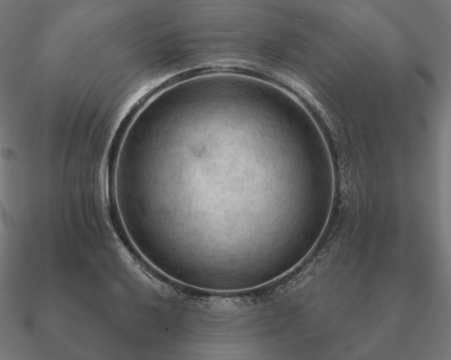 X0000090911032200708061518