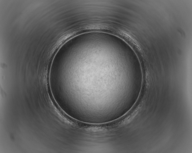 X0000090911033200708061518