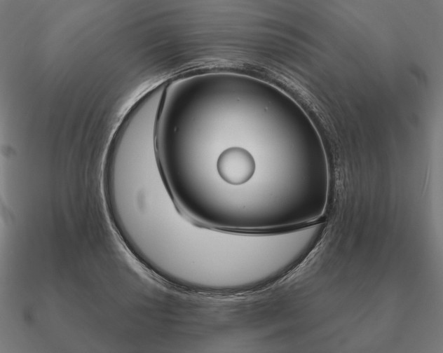 X0000090911034200708061518