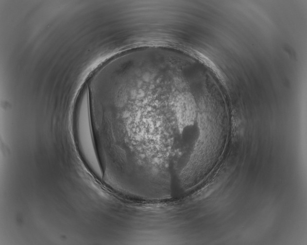 X0000090911035200708061519