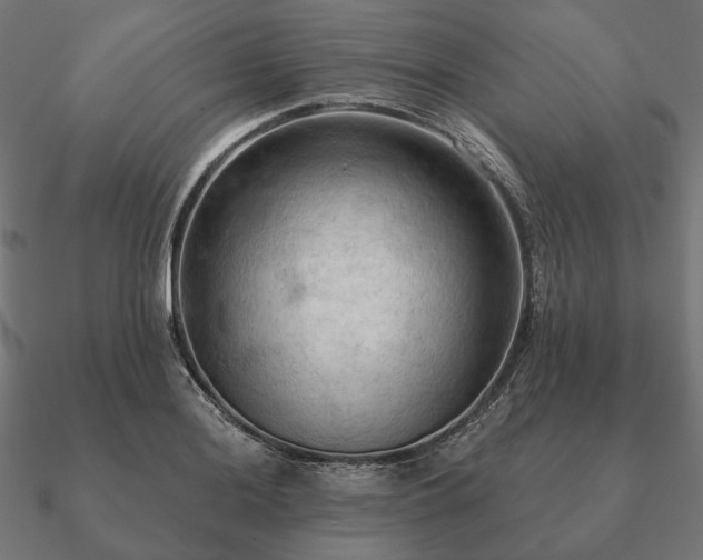 X0000090911036200708061519