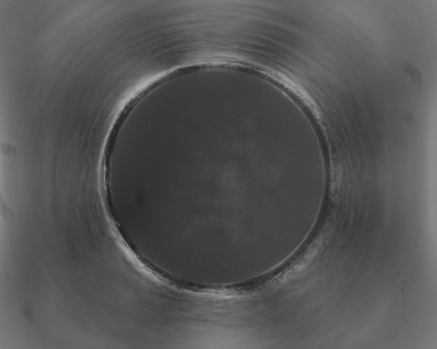 X0000090911037200708061519