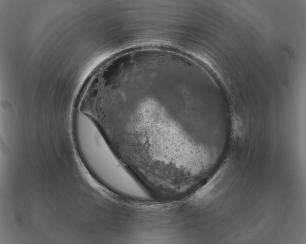 X0000090911038200708061519