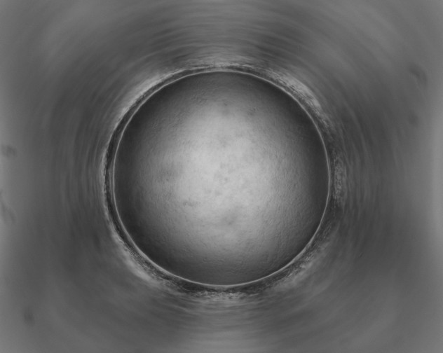 X0000090911039200708061519