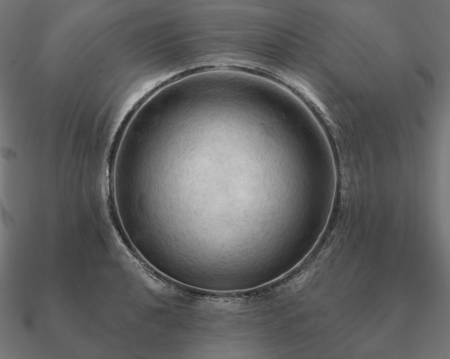 X0000090911040200708061519