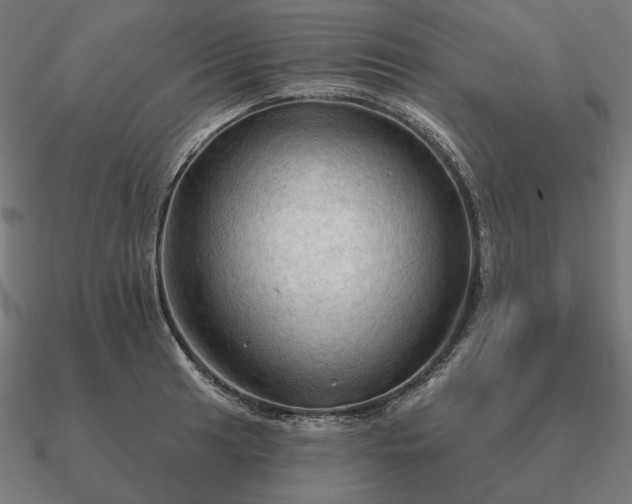 X0000090911041200708061519