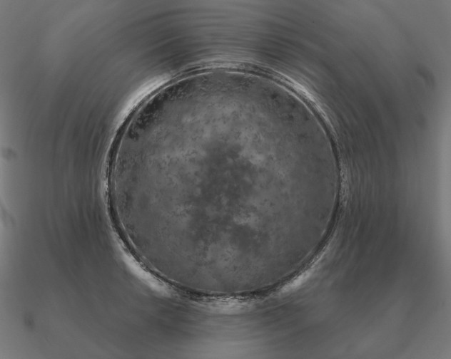 X0000090911042200708061519