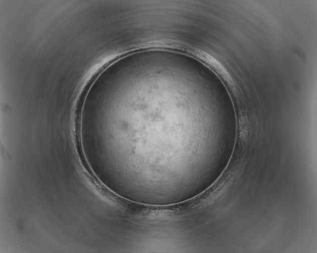 X0000090911043200708061519