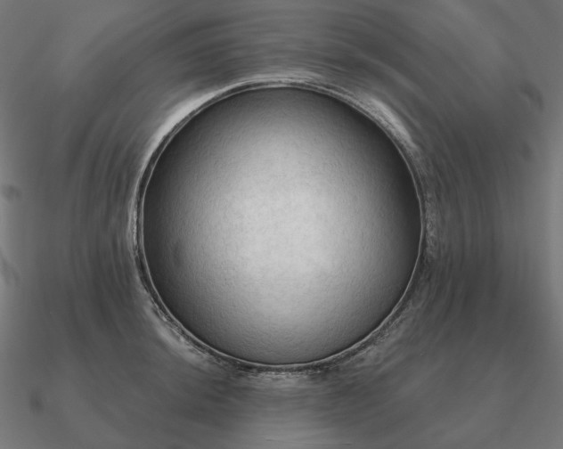 X0000090911044200708061519