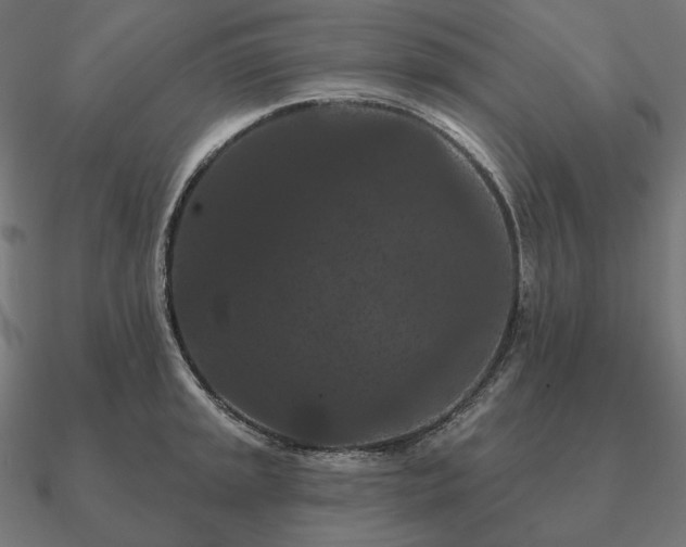 X0000090911045200708061519