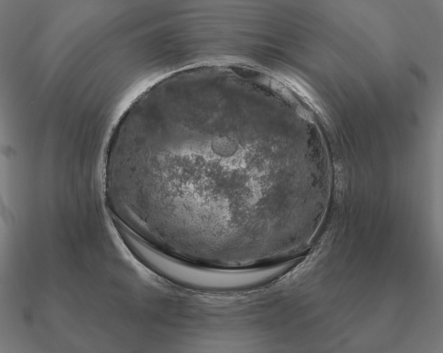 X0000090911046200708061519