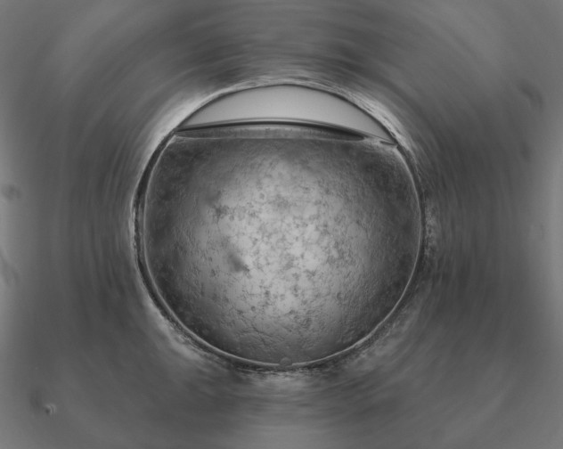 X0000090911047200708061519