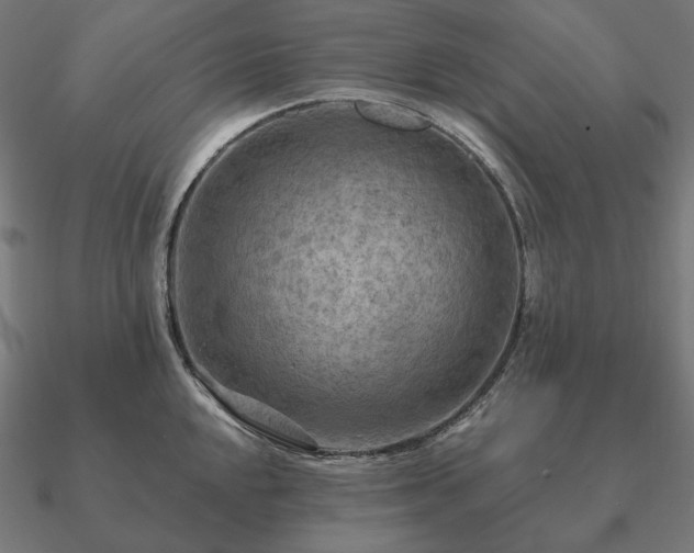 X0000090911048200708061519