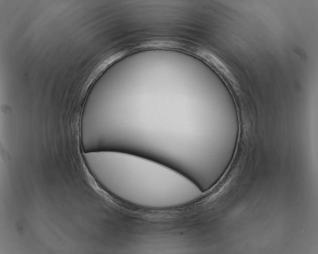 X0000090911049200708061519