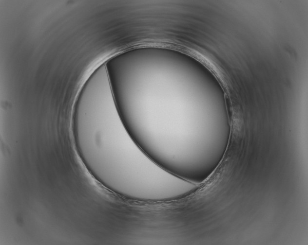 X0000090911050200708061519