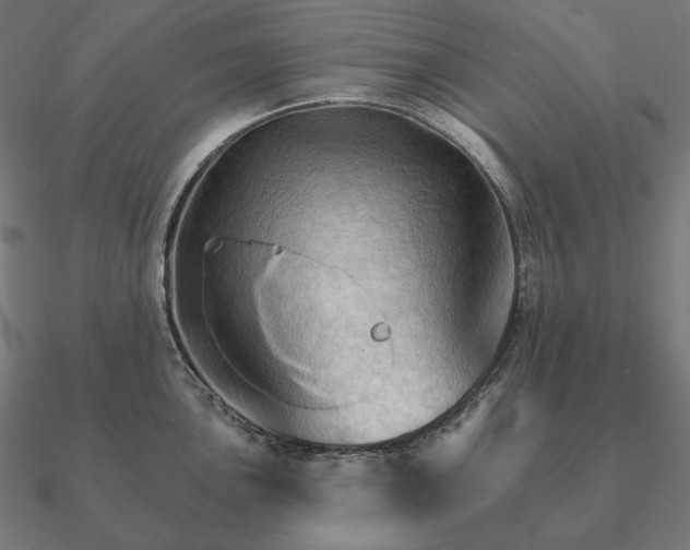 X0000090911051200708061519