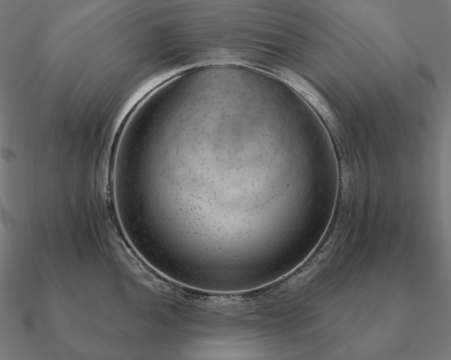 X0000090911052200708061519