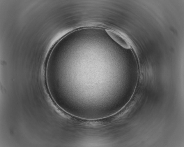 X0000090911053200708061519