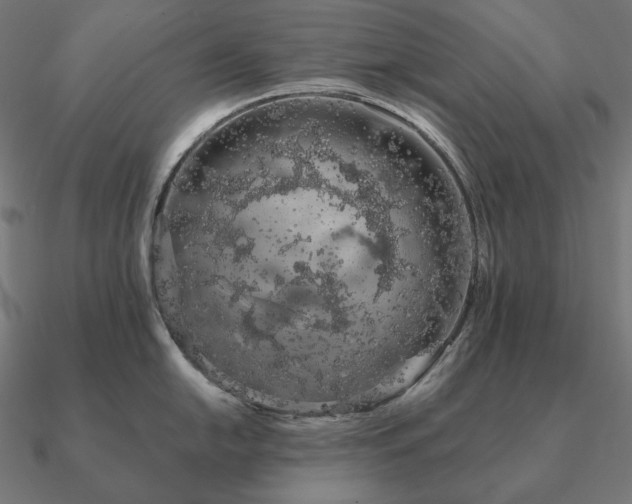 X0000090911054200708061519