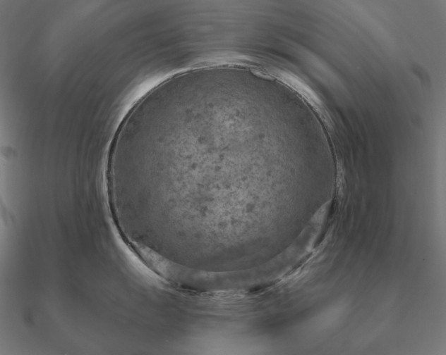 X0000090911055200708061519