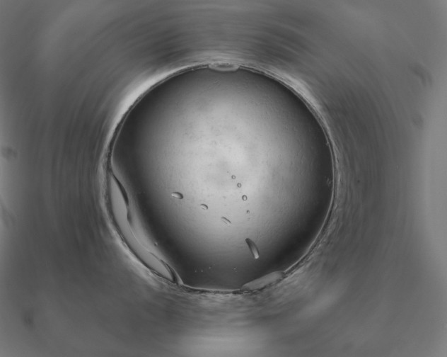 X0000090911056200708061519