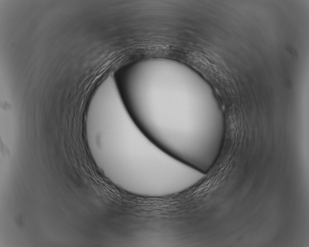 X0000090911057200708061518