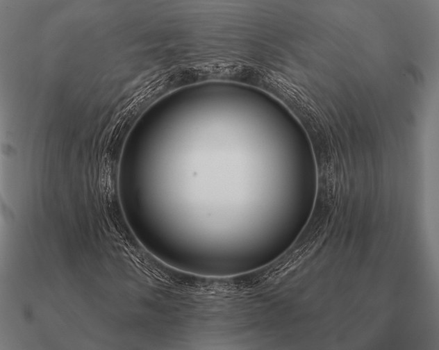 X0000090911058200708061518