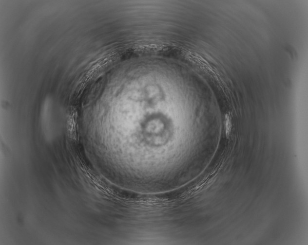 X0000090911059200708061518