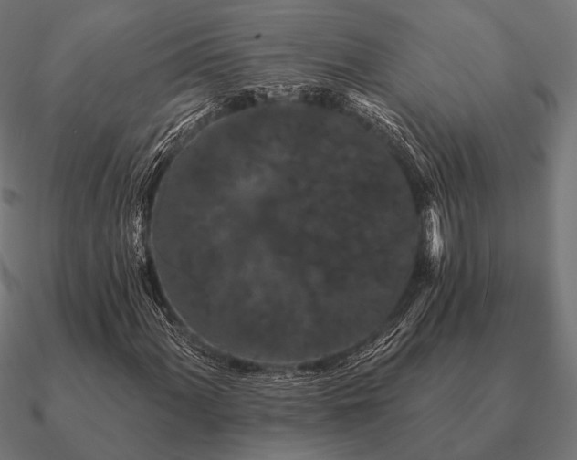 X0000090911060200708061518