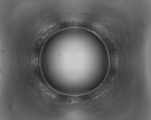 X0000090911061200708061518