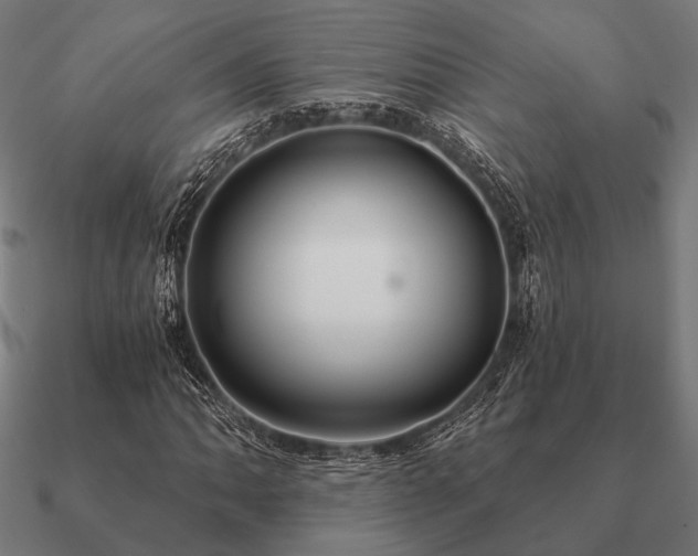 X0000090911062200708061518