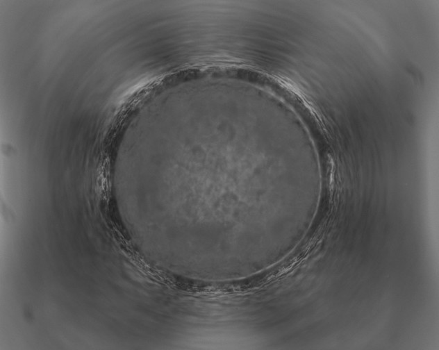 X0000090911063200708061518