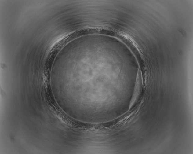 X0000090911064200708061518