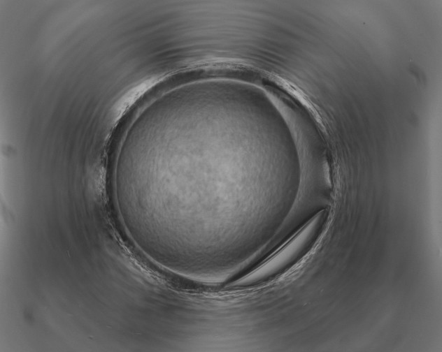 X0000090911066200708061518