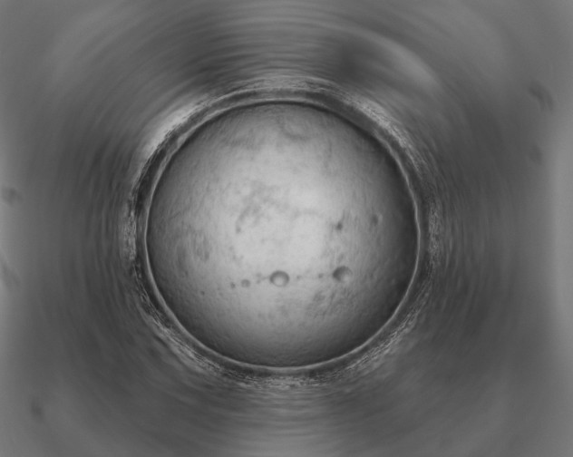 X0000090911067200708061518