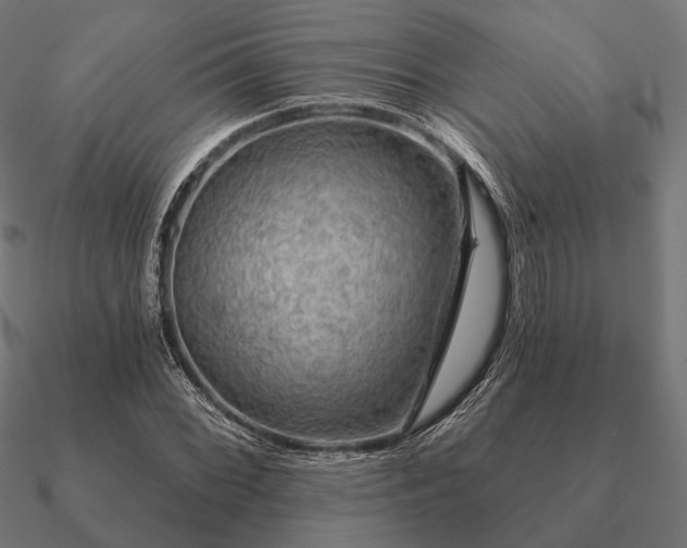 X0000090911068200708061518