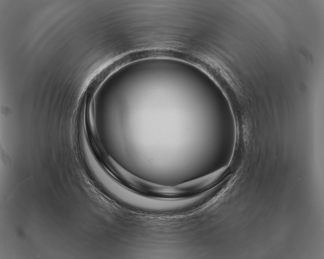 X0000090911069200708061518