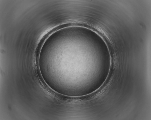 X0000090911070200708061518