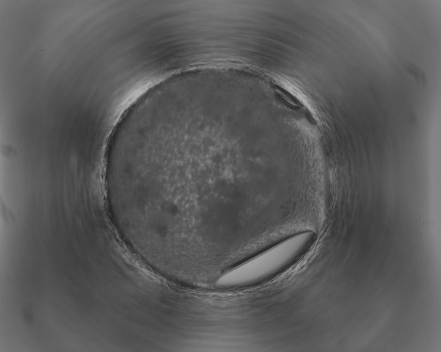 X0000090911071200708061518