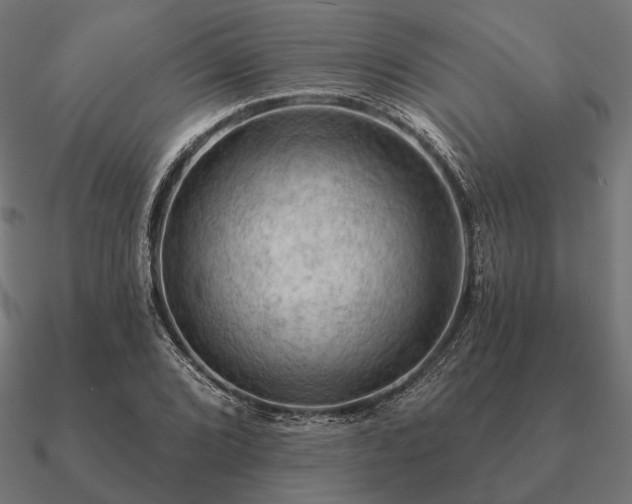 X0000090911072200708061518