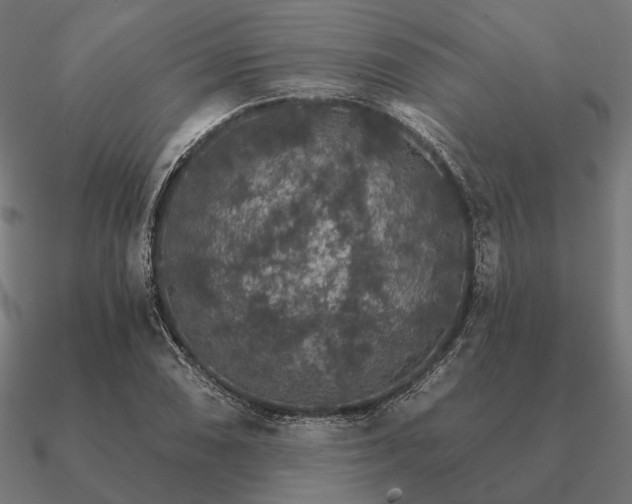 X0000090911074200708061518