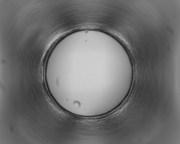 X0000090911075200708061518