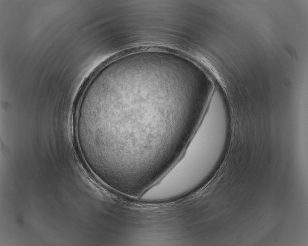 X0000090911076200708061518