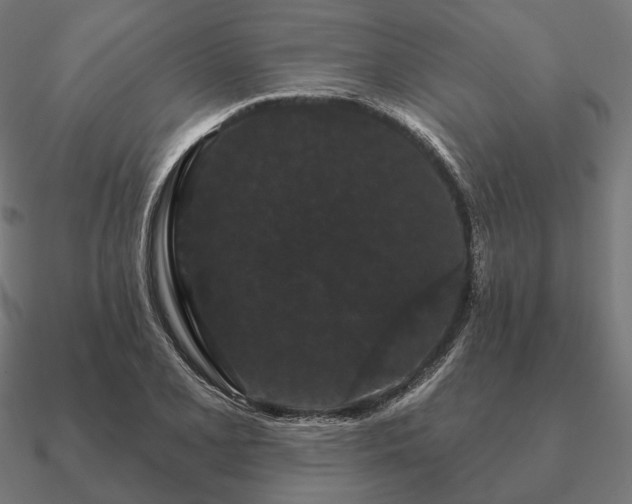 X0000090911077200708061518