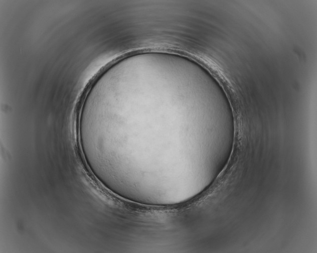 X0000090911078200708061518