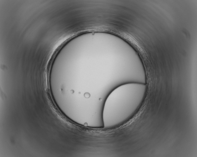 X0000090911079200708061518