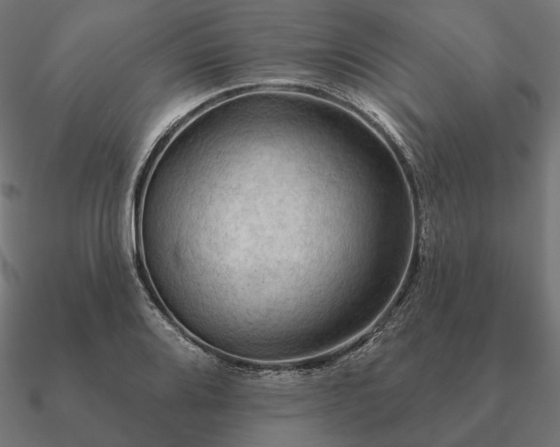 X0000090911080200708061518